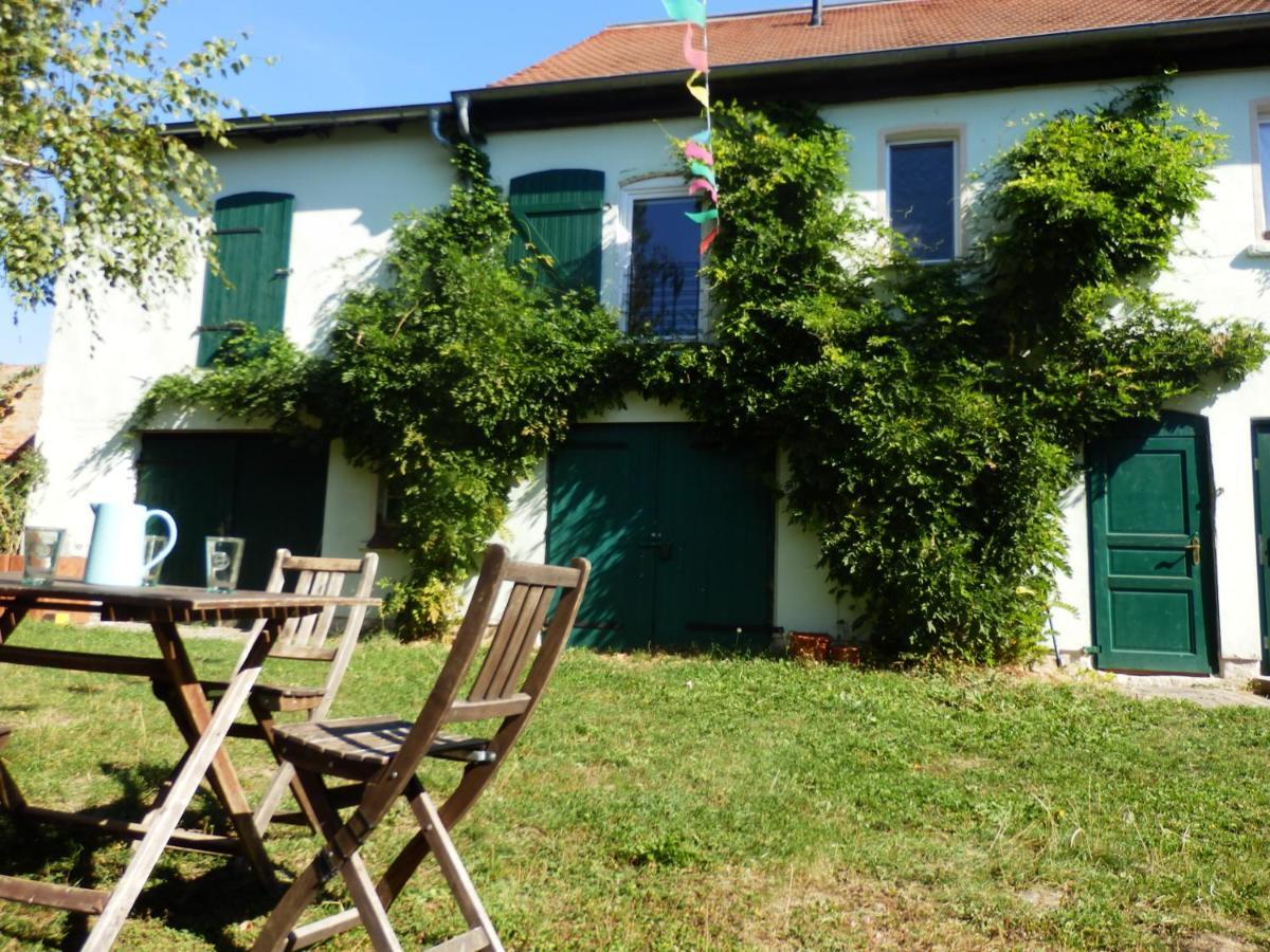 Ferienhof Gruene Kuh Elsteraue Εξωτερικό φωτογραφία